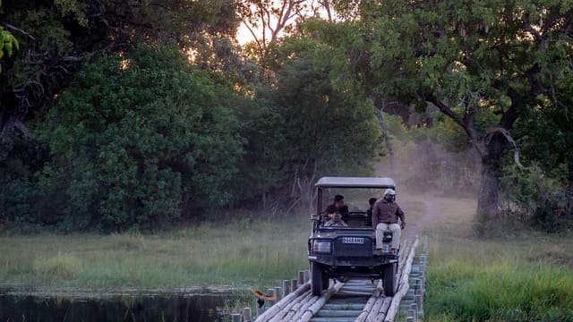 Which Country is Safe for Safari