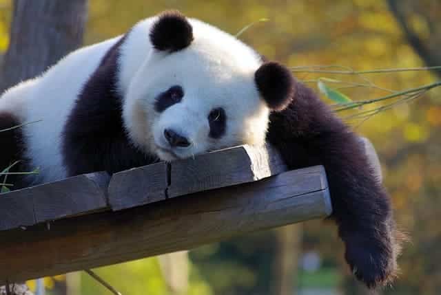 Why is China Famous for Tourism?
