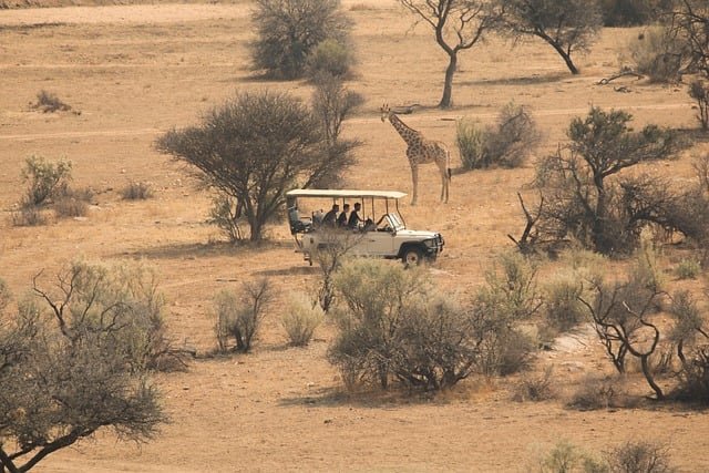Secret safari camps in Africa