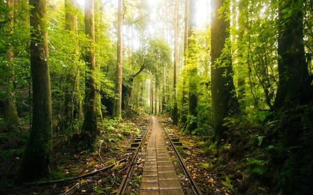 Secret Japanese islands for tourists