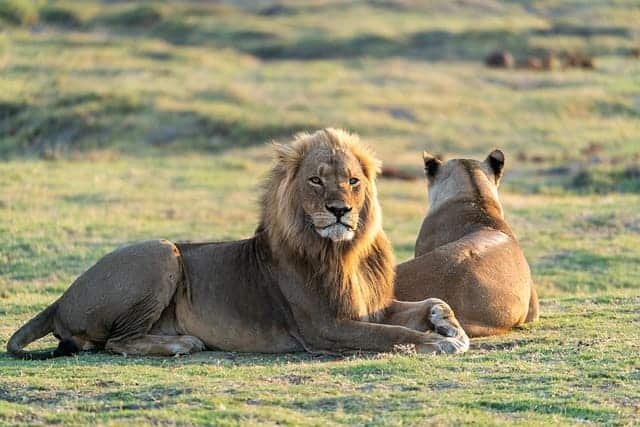 cheapest luxury safaris in Africa
