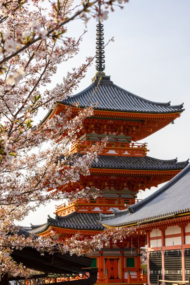 Romantic cherry blossom towns in Japan