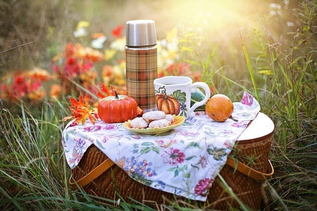 Where are the best picnic spots in Europe